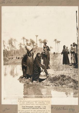 On the Nile, the life stream of Egypt