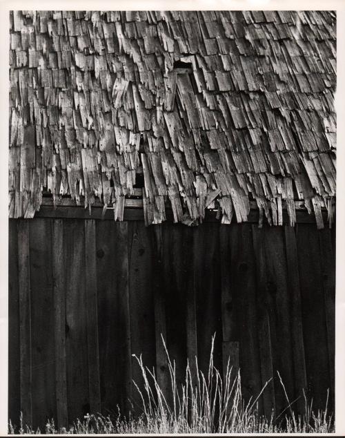 House with a Shakes Roof, Rocky Bar, Idaho