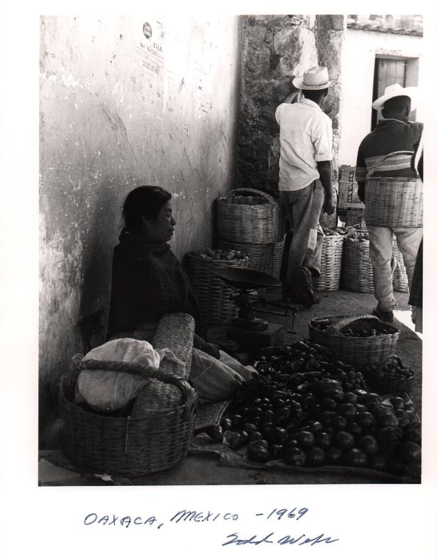 アート・デザイン・音楽 Oaxaca アート・デザイン・音楽 Oaxaca