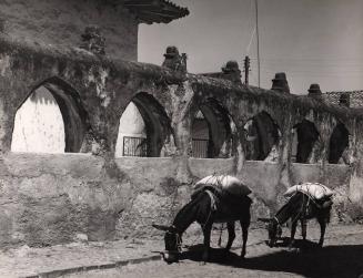 Patzcuaro, 1965