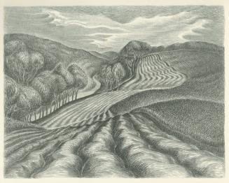 Ploughed Fields