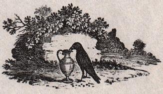 Crow in a landscape