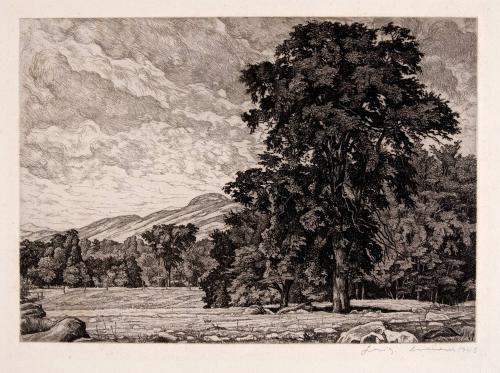 [Landscape with large tree]