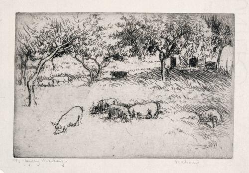 Pigs in an Orchard No. 1