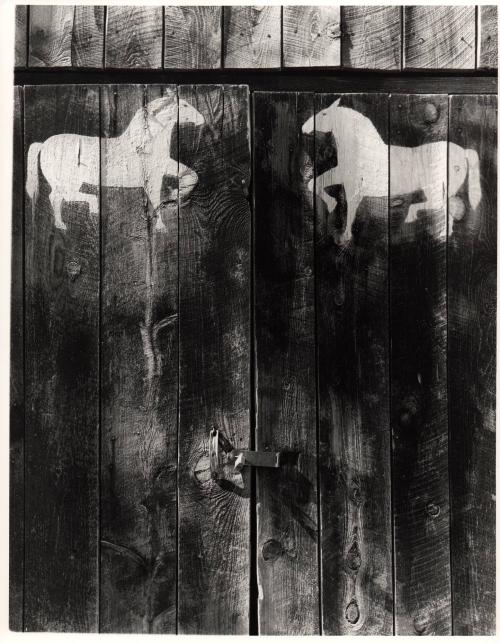 Barn Door, Cundingo, NM