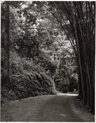 Near Tanga, Tanganyika, 1958