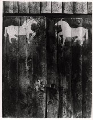 Barn Door, Cundingo, NM