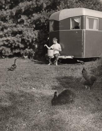 Untitled [boy, trailer, chickens, duck, and bunny]