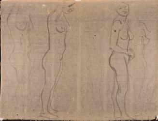 Six Sketches of a standing nude woman