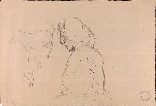 Untitled figure study and profile of a horse