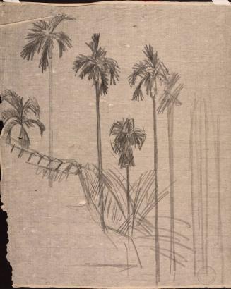 [Row of palm trees]