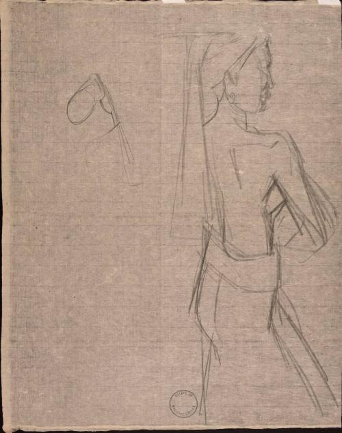 [Figure study of woman's back and side profile]