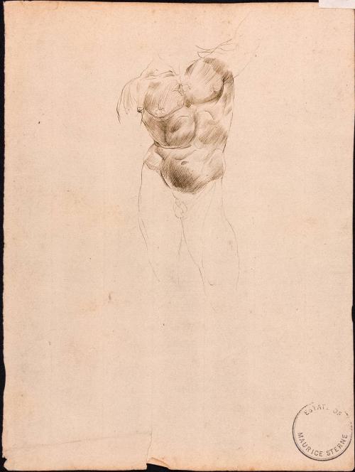 [Study of nude man's body]