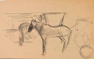 Study of a standing horse
