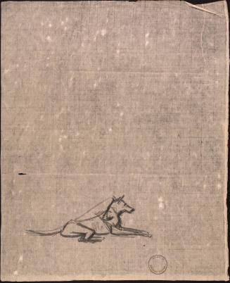 Study of a dog lying down
