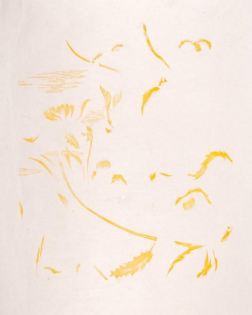 Iris and Poppies (yellow)