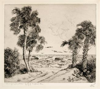 "Changing Weather" Gulf of Mexico, Fla.