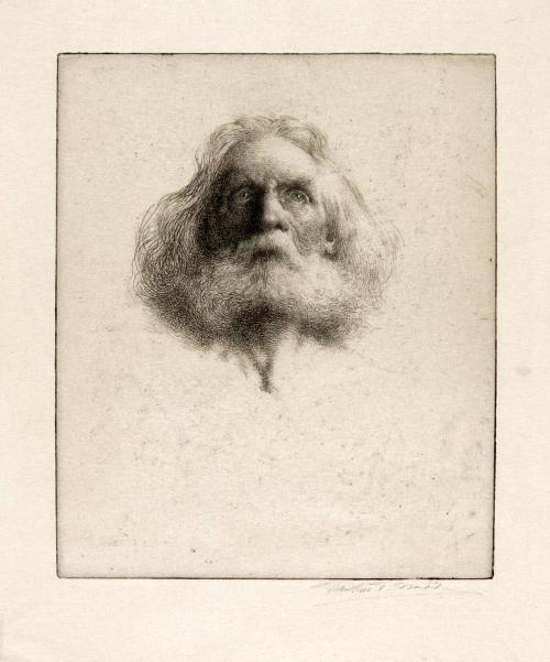 [Head of an old man with beard]
