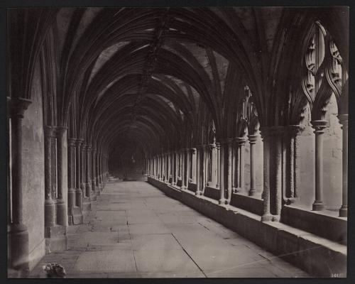 [Norwich, The Cloisters]