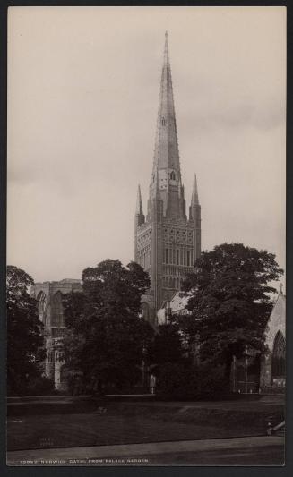[Norwich Cathedral, from palace garden]