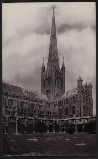 [Norwich Cathedral, cloisters and court]