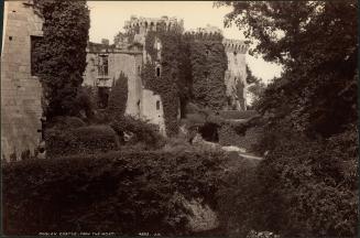 [Raglan Castle, from the moat]