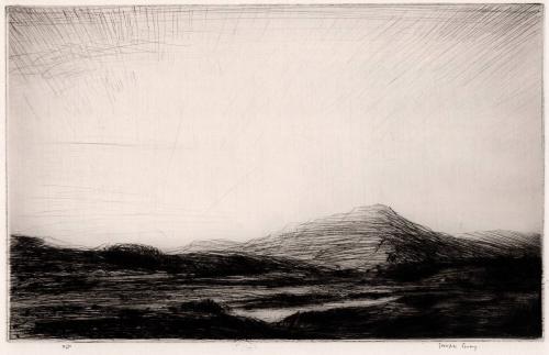 Pitmain Moor