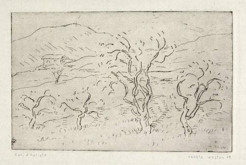 Orchard