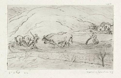 Ploughing