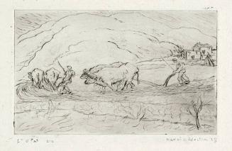 Ploughing