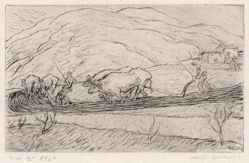 Ploughing