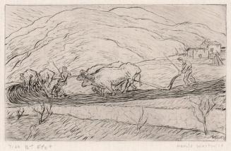 Ploughing