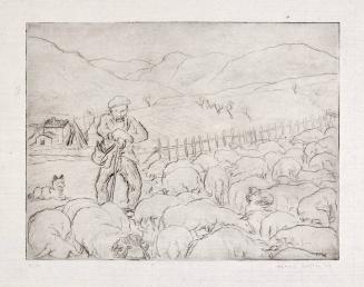 Shepherd