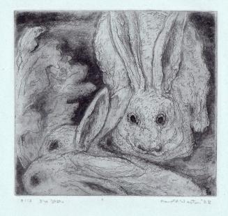 Rabbits