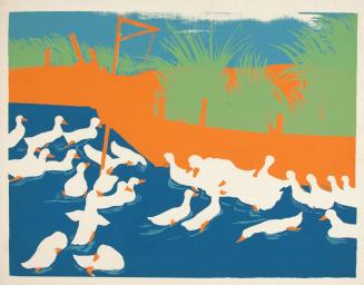 The Long Island Ducks #7