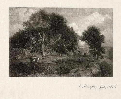 [Landscape with cattle]