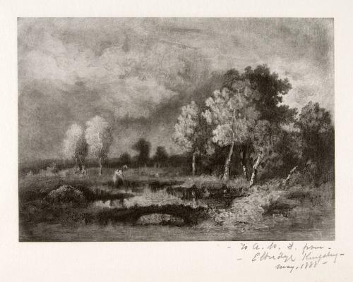 Landscape Under Shadow