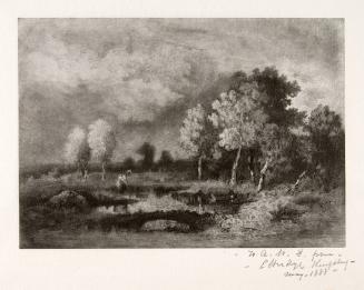 Landscape Under Shadow