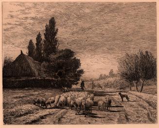 [Landscape with sheep]