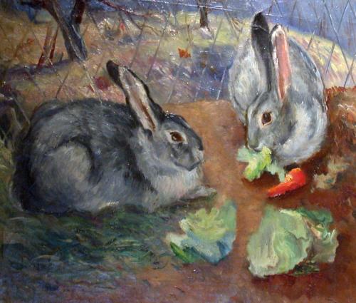 Rabbits