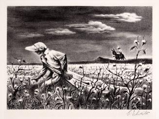 Cotton Pickers