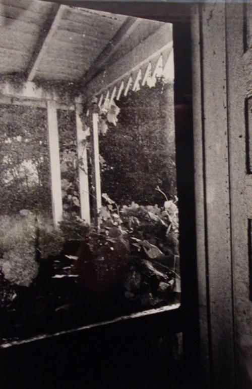 Door and Screen