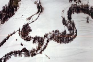 Frozen Stream with Dormant Tree and Shadows, Bethel Maine