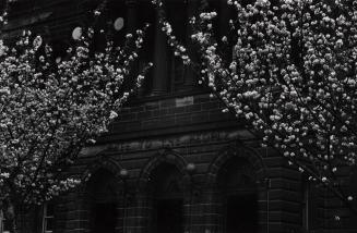 [Carnegie Library of Pittsburgh - Oakland, Front View Above Main Doors "Free to the People"]