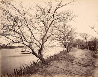 Road with Lantern, Rickshaw, and River