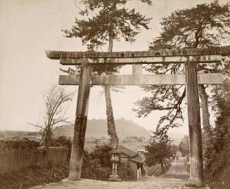 Torii