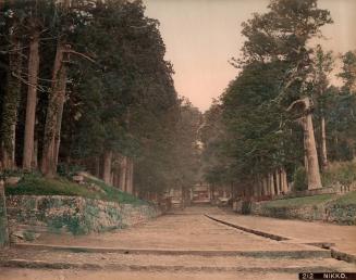 Entrance Road, Toshogu