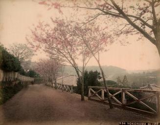 Yokohama Bluff