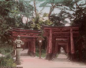 100 Gates, Inari Temple, Kyoto