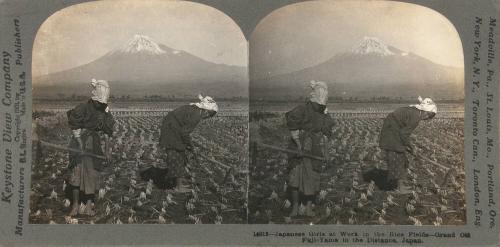 Japanese Girls and Fujiyama